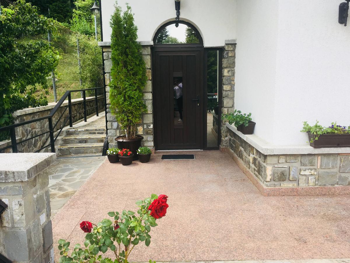 Pensiune Vila Terase 4*