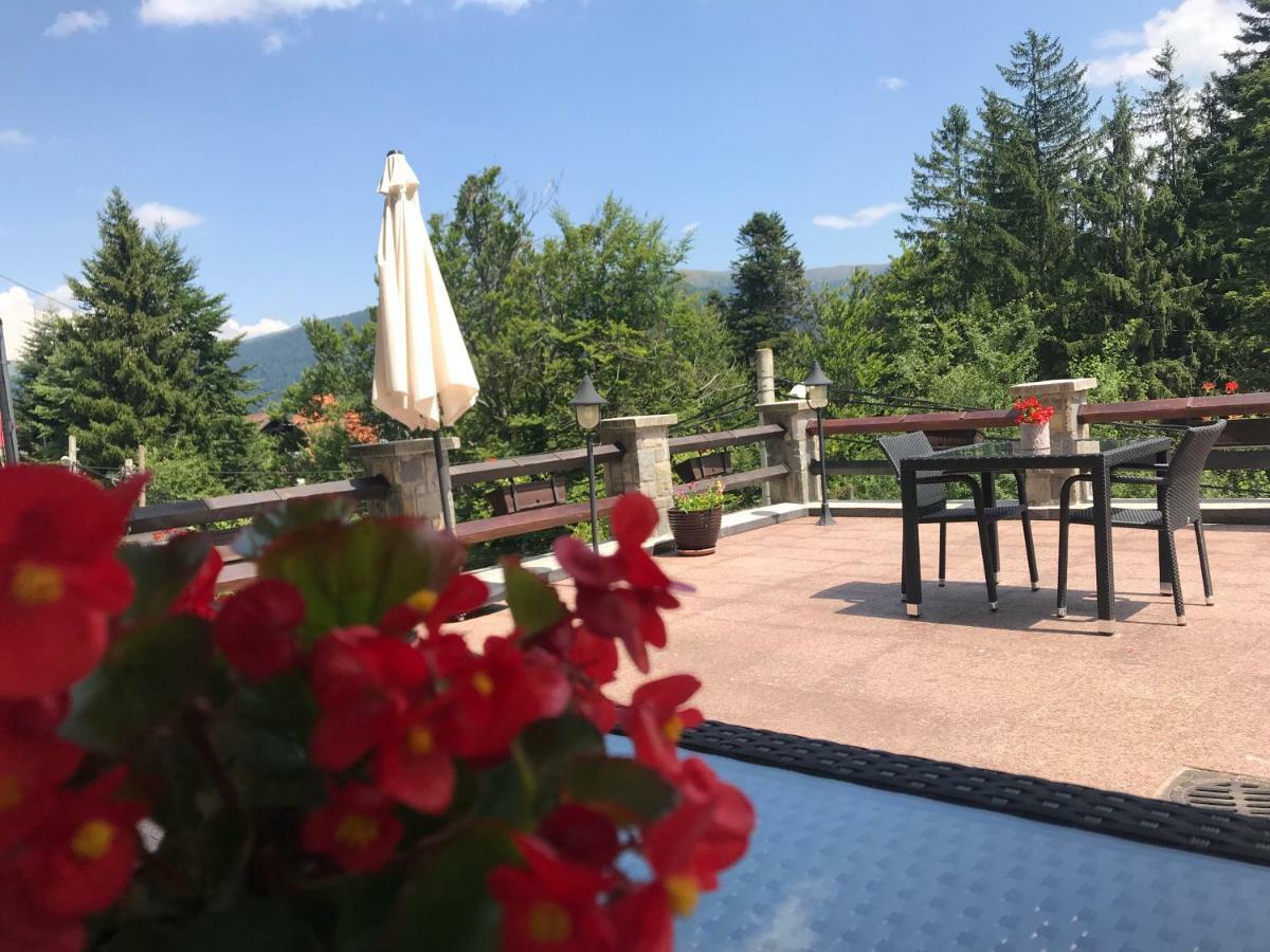 Vila Terase Pensiune 4*